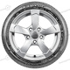 255/45 R17 98W SP Sport Maxx TT ROF * MFS SP Sport Maxx TT ROF * MFS Dunlop 255/45 R17 98W SP Sport Maxx TT ROF * MFS
