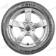 165/70 R14 81T Perfecta Perfecta Sava 165/70 R14 81T Perfecta